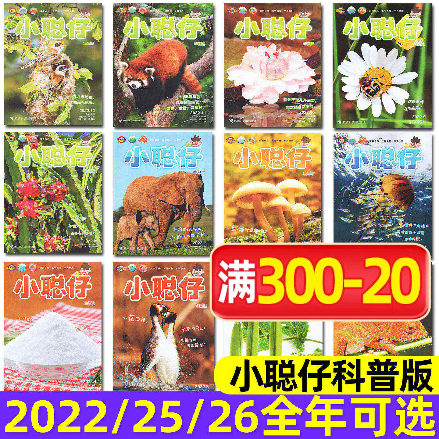 【多年份可选】小聪仔（科普版）杂志2022/2025/2026年1-10/11/12月全年订阅2~8岁兴趣儿童科普百科动物过刊