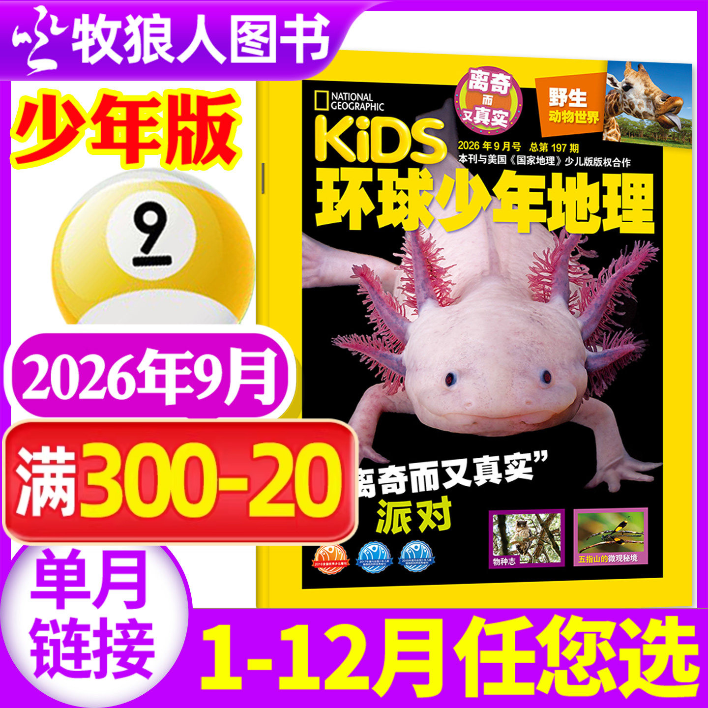 kids环球少年地理少年版杂志2026年5月【1-6月/2025年1-12月/全年/半年订阅】美国国家地理少儿版科普6-12岁学生自然知识非过期刊
