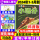 8岁兴趣儿童科普百科自然动物2022过刊 2023年1 图册 赠贴纸 科普版 全年 杂志2024年1 半年订阅 小聪仔 5月 12月