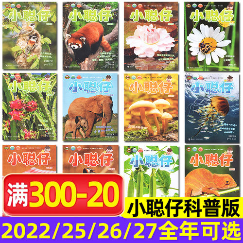 小聪仔科普2022/2025/2026全年