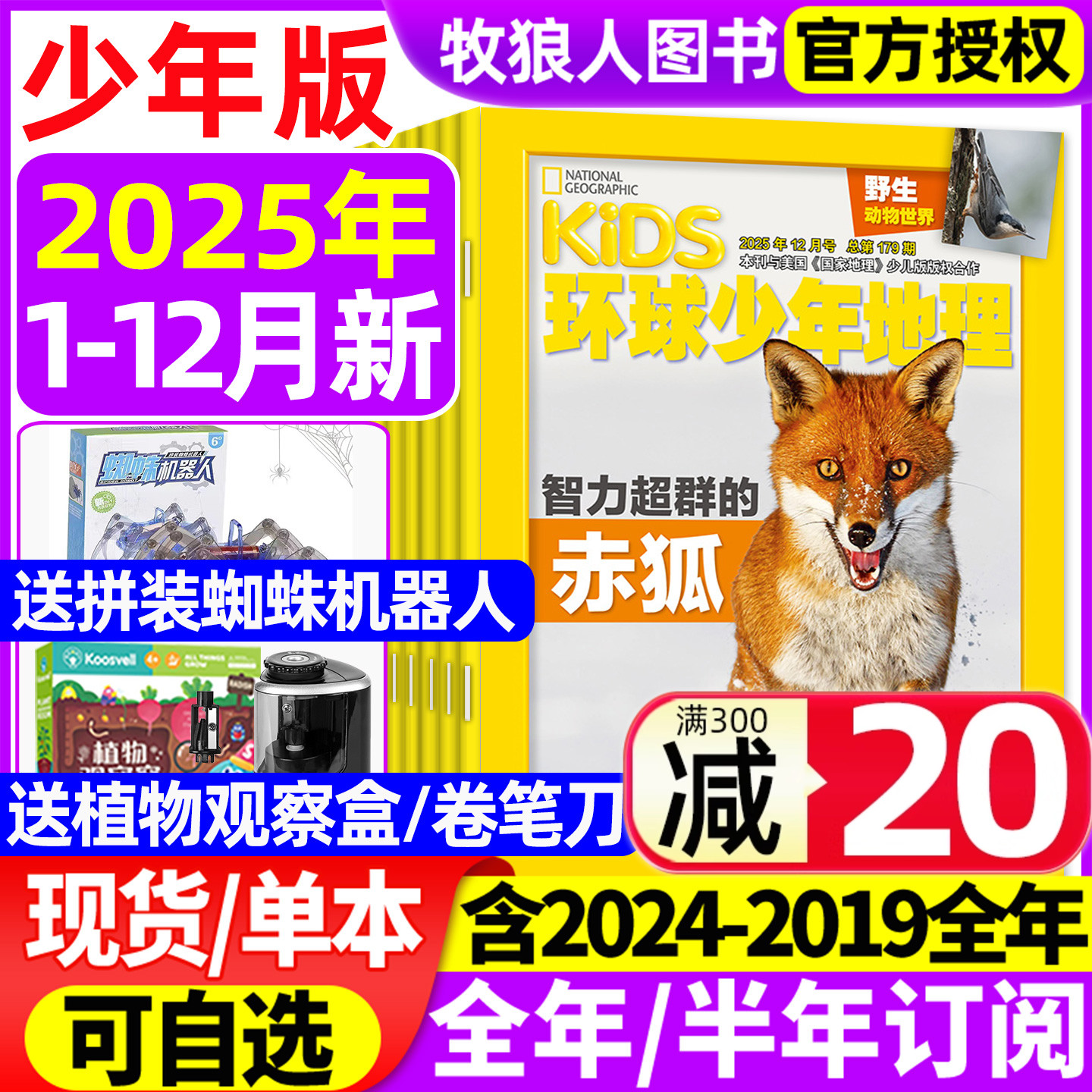 环球少年地理杂志少年版2025年1-11/12月【2026全年/半年订阅/2024/2023年典藏】kids美国国家地理少儿版小学生科学发现科普过期刊