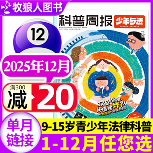 青少年9 11月 半年订阅 15岁中小学生法治素养教育周报法律原来这么有趣漫画过刊 2026全年 科普周报少年与法杂志2025年12月