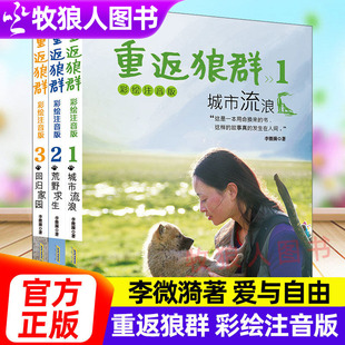 重返狼群彩绘注音版正版全套3册李微漪著城市流浪荒野求生回归家园让我陪你重返狼群千里寻你重返狼群背后的故事儿童版小说书籍