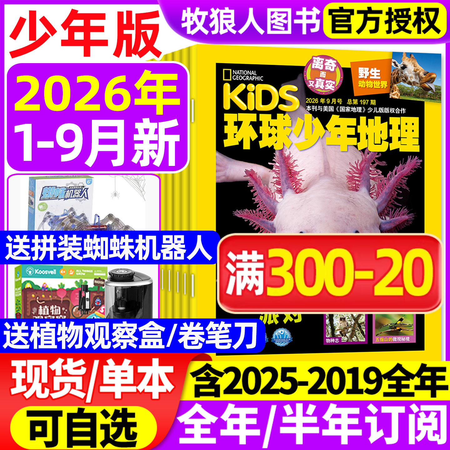 环球少年地理杂志少年版2026年1-2月【2025年/全年/半年订阅/2024/2023年典藏】kids美国国家地理少儿版小学生科学发现科普过期刊