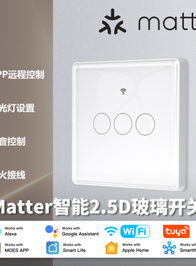 涂鸦Matter智能开关面板homekit智能语音控制家用灯控定时零火