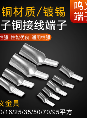 C45-6/10/16/25/50/70-95平方插针DZ47接线端子铜鼻子20只起包邮