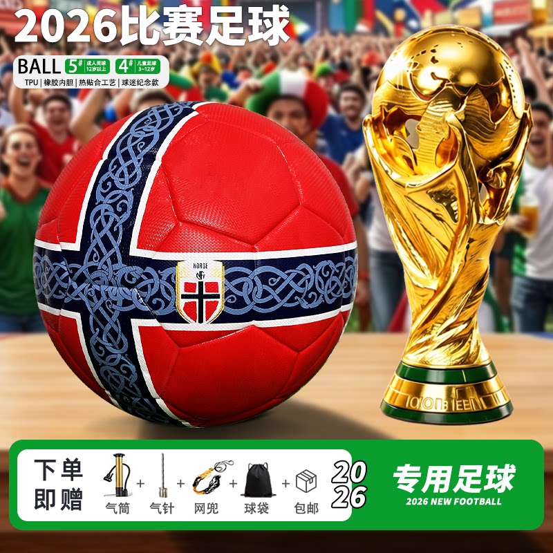 2026哈兰德中考5号训练足球图片