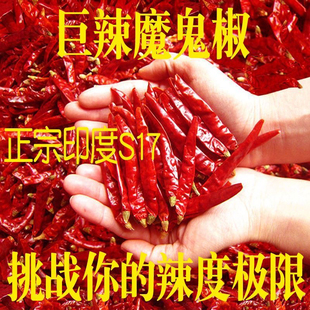 特辣变态辣印度椒魔鬼椒超辣椒粉面红干辣椒段 魔鬼辣印度s17