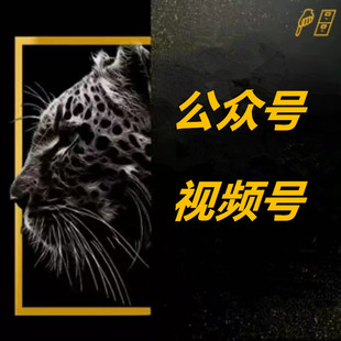 视频阅读号服务公众订阅号服务小红xhs书薯服务