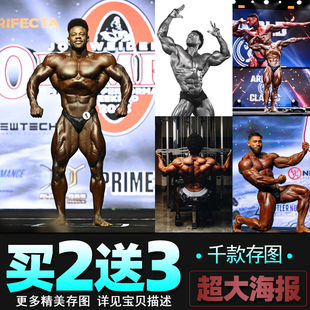 拉蒙迪诺 黑天鹅布莱恩安斯利海报健身房肌肉男女墙贴壁纸装饰画