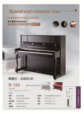 萨尔堡钢琴R-123初学 考级家用立式琴儿童初学者练习考试演奏专业