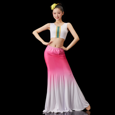 傣族舞蹈演出表演民族裙子服装