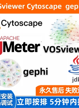 VOSviewer远程安装java配置gephi/cytoscape/jdk/jmeter远程安装