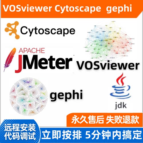 VOSviewer远程安装java配置gephi/cytoscape/jdk/jmeter远程安装
