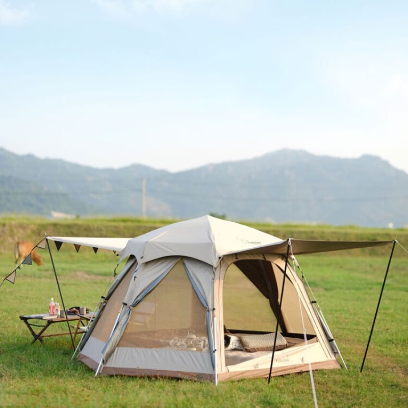 维达利多自动速开帐篷防晒便携