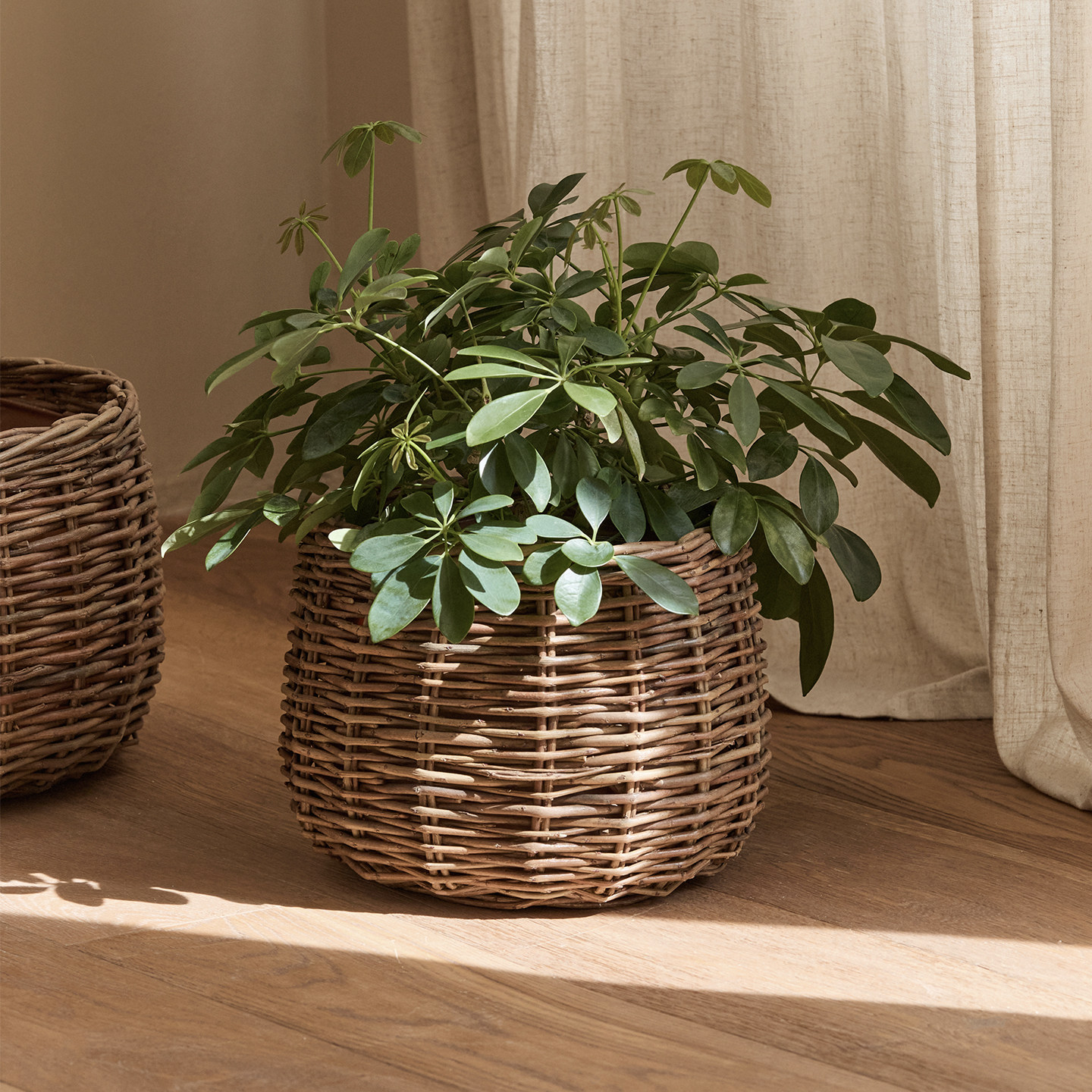 北欧藤编草编编织花篮竹编绿植盆栽落地编织篮篮子阳台装饰花盆,家居饰品,花篮,淘宝优惠券,粉丝福利购,淘宝优惠卷