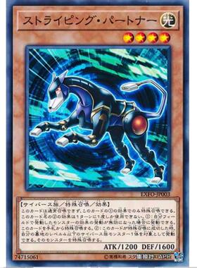 游戏王 条带化搭档犬 1003 极端力量 EXFO 日文 N