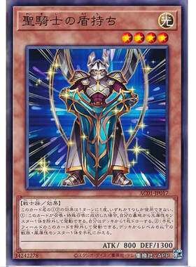 游戏王 圣骑士之持盾者 动画编年史2021 日文 N