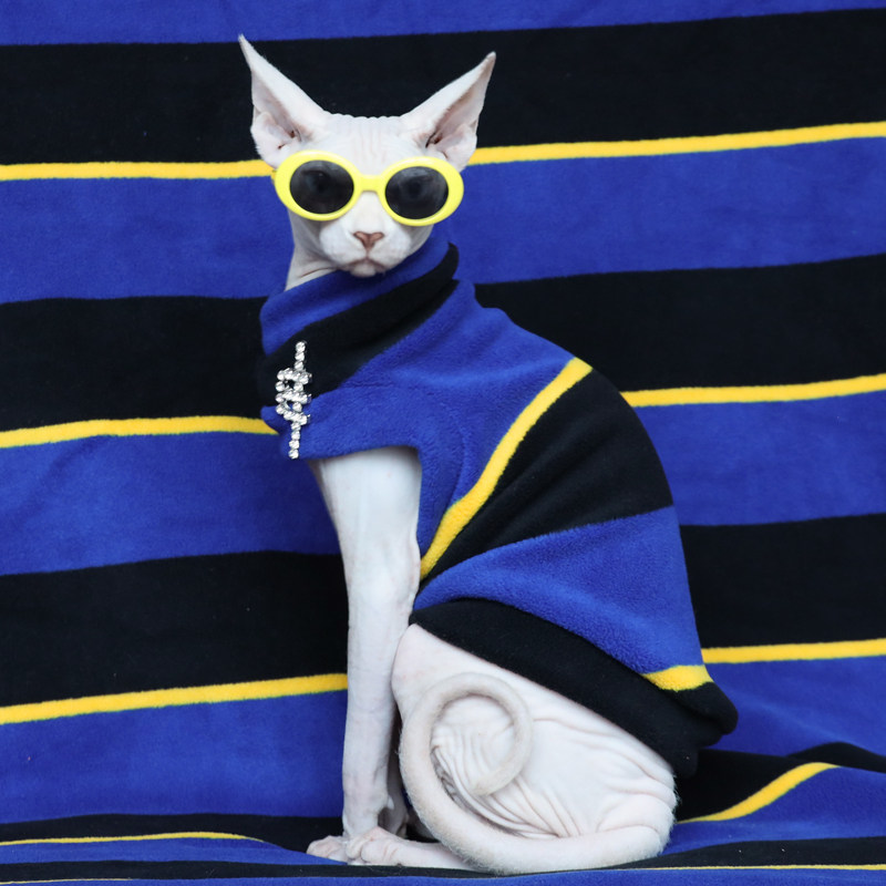 猫咪dapan宠物斯芬克斯无毛猫猫衣服防脱设计防掉定制2020