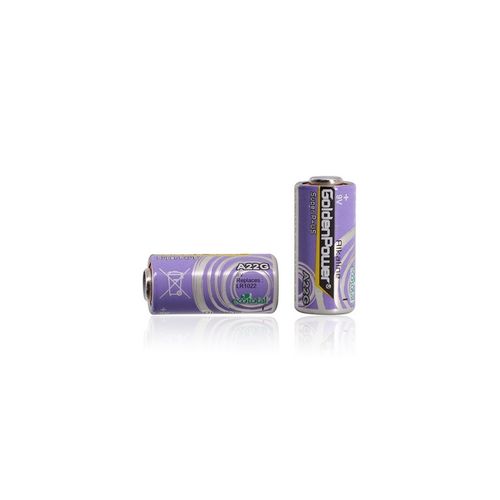 2粒GoldenPower 金力 特种电池 A22M LR1022 10220 1/2AAA A22GBC