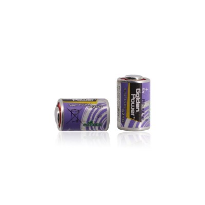 2粒GoldenPower金力电池A21M A21G 6V 11A L1016 MN11
