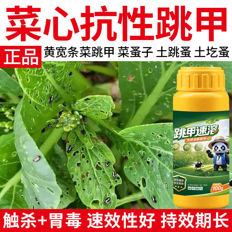 跳甲药抗性跳甲专用助剂蔬菜杀虫杀卵白菜油菜杀虫生物虫卵速溶剂