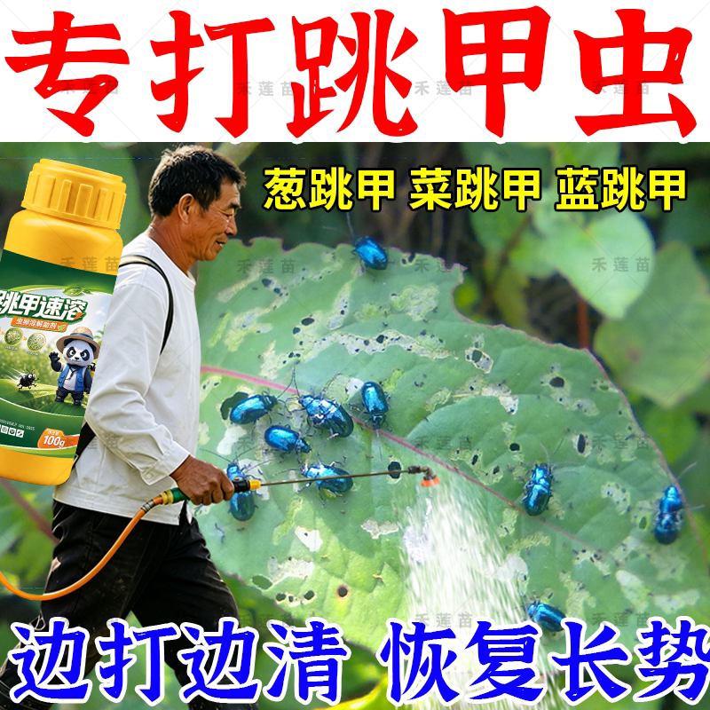 黄条跳甲专用药叶菜蔬菜抗性跳甲专用专清虫卵双杀强力助剂农用药