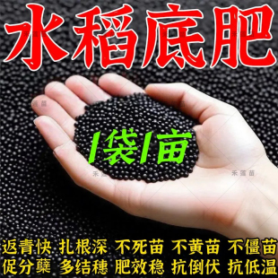 正品水稻底肥宝【1袋1亩】水稻种植专用改良土壤促进生根全面营养