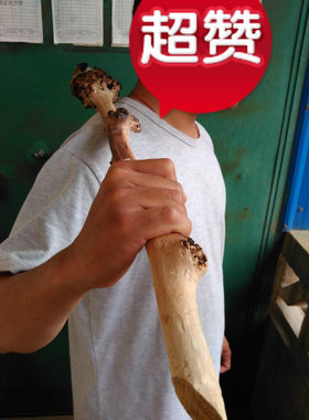 云南车载天然成品树瘤