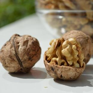 年货陇南成县核桃老树农家天然富硒无漂白自然成熟香3斤包邮