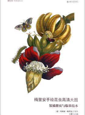 梅里安手绘昆虫高清大图(装裱册页与临摹范本)/博物文库
