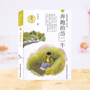 岱二牛黄蓓佳著黄蓓佳倾情小说系列中小学生课外阅读书江苏凤凰少年儿童出版 江浙皖奔跑 社 包邮