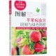 不败指南 图解苹果病虫害识别与绿色防控 专业园艺师