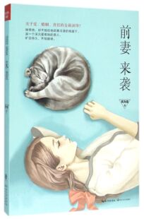 前妻来袭