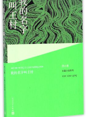 我的名字叫王村/长篇小说系列