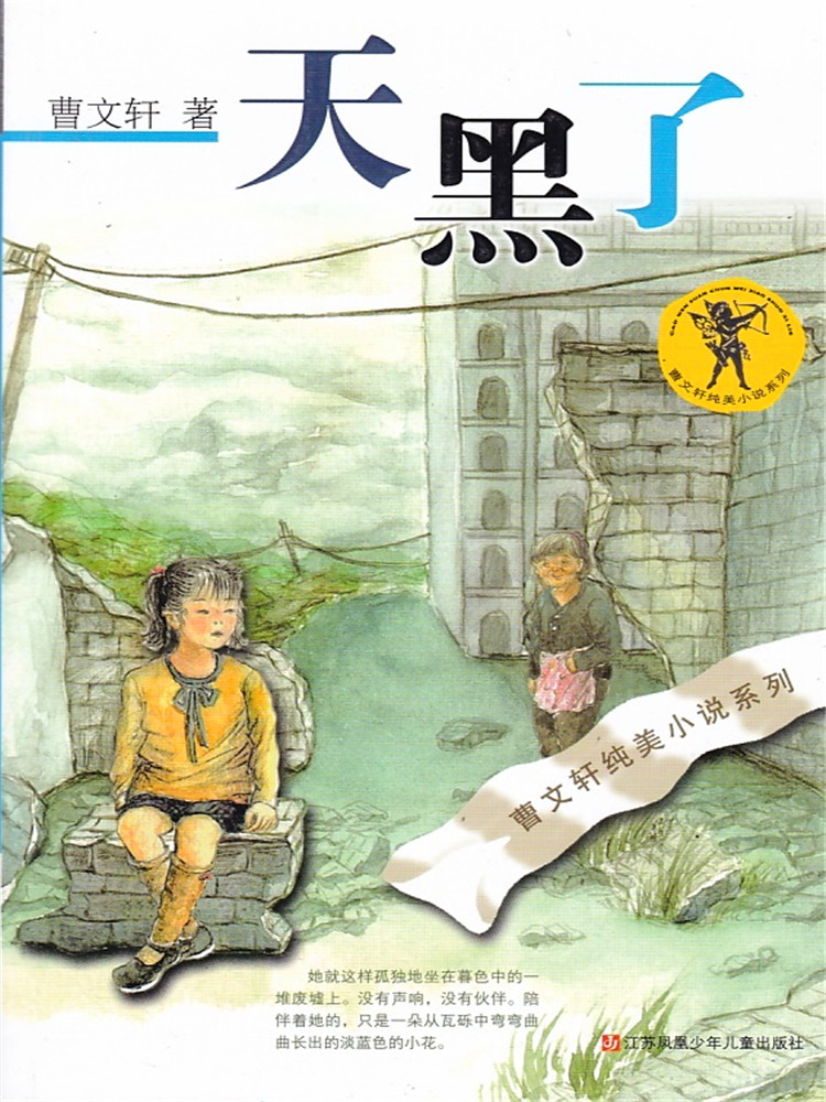 曹文轩纯美小说系列    天黑了   江苏凤凰少年儿童出版社