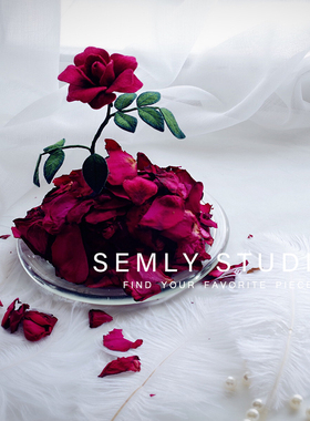 【SEMLY STUDIO 】[材料包]美女野兽欧式立体刺绣仿真玫瑰diy手工