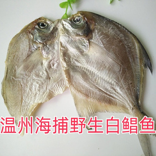 温州东海野生海捕银鲳鱼干海鲜干货白鲳鱼干淡晒银鲳鱼鲞微咸鱼干