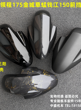 适用林海领程175LMAX150-B金城草蜢200钱江150FORCE155前挡泥板盖