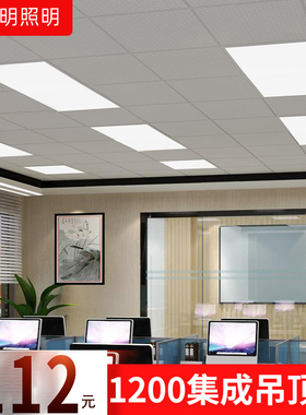 集成LED平板灯300*1200mm工程款面板灯60*120cm会议办公室灯600