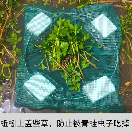 黄鳝笼水上漂鳝鱼笼自制捕鳝泥鳅笼加厚黄鳝笼加密捕鳝笼工具神器