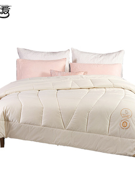 伊伊爱ZJJJD25216 奇迹羊毛被约4.2斤200*230cm