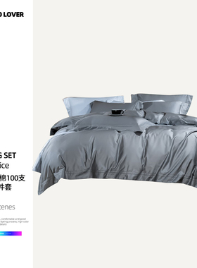 伊伊爱TJ0KY02401178纯棉100支工艺款四件套200*230cm霜灰色)名爵