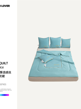 伊伊爱ZX0ZS02401233 夏季凉感丝多功能抱枕被 40*40cm