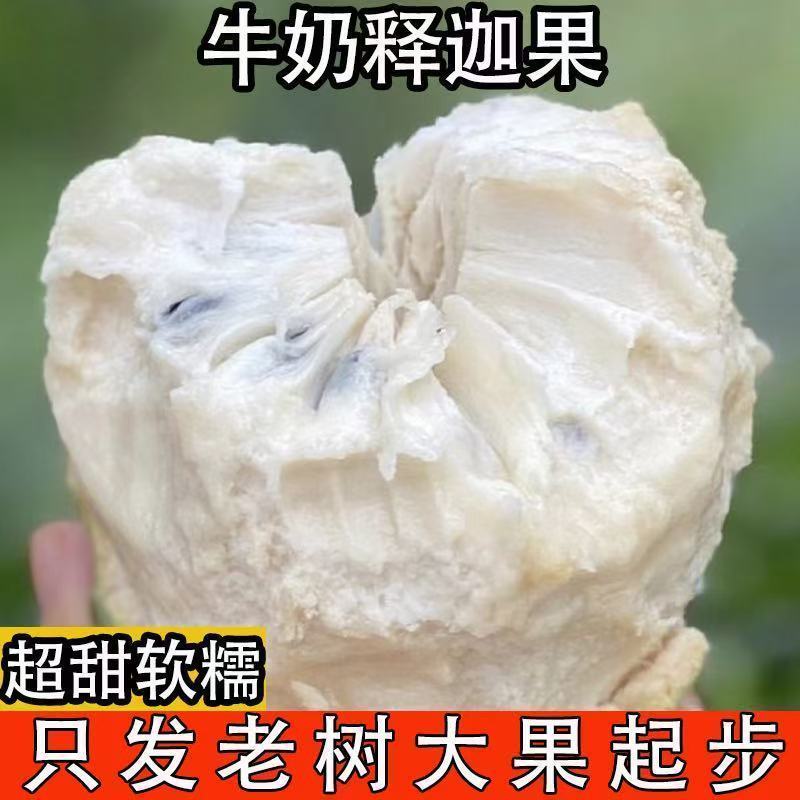 顺丰现摘释迦果新鲜番荔枝5斤大凤梨牛奶佛头果林檎当季新鲜水果