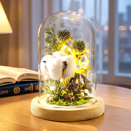 永生花棉花干花植物标本ins风桌面复古文艺装饰品母亲节生日礼物