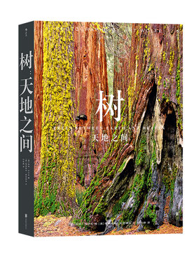 横跨六大洲的树木摄影作品集后浪