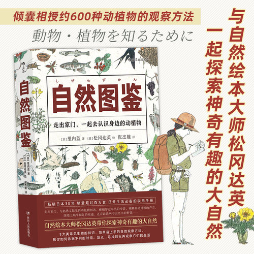 自然图鉴 有趣的绘本书籍 课外阅读扩展