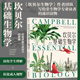 现货 后浪正版 坎贝尔基础生物学 引领读者融会贯通地掌握生物学知识 科普教材书籍 生命进化遗传 赠科学便签本