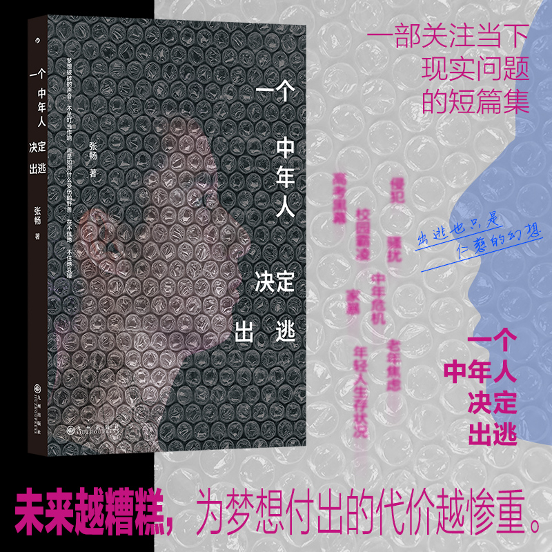 后浪正版现货 一个中年人决定出逃 校园霸凌家暴中年危机等社会议题 现实主义 当代短篇小说集